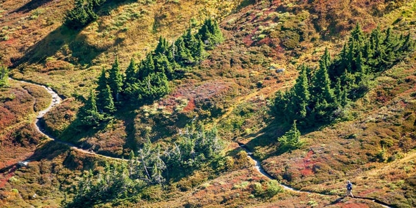 major washington highway reopens following wildfire in north cascades national park