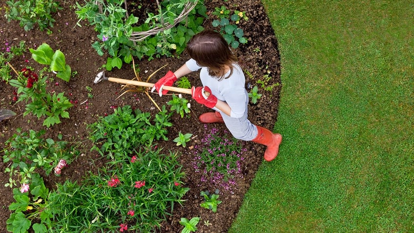 Make sure your garden stays strong by getting rid of weeds and keeping up with trimming. 