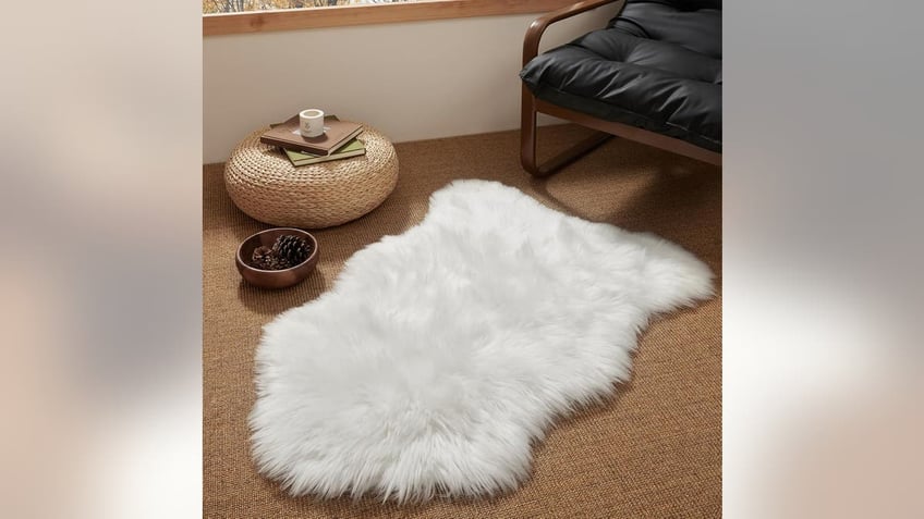 A soft rug adds some class to any room. 