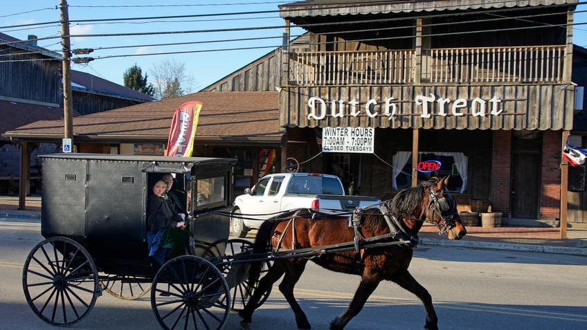 An Amish carriage in Spartanburg, Pennsylvania