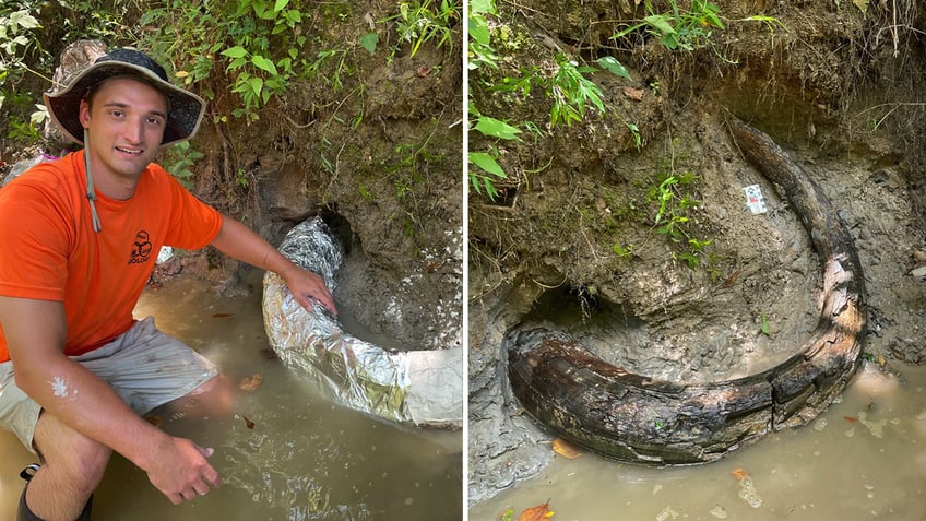 mammoth tusk in Mississippi