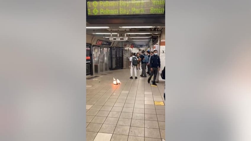 man lights newspapers on fire in nyc subway throws at other riders including kids video