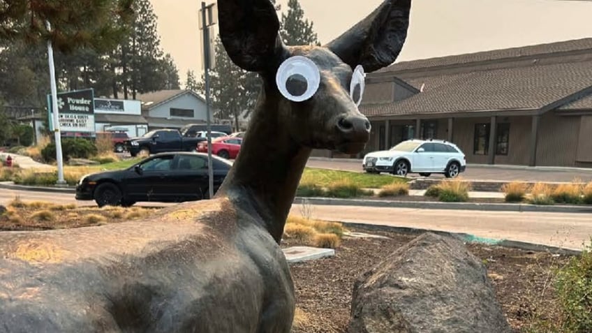 viral prank googly eyes on art in Bend, Oregon