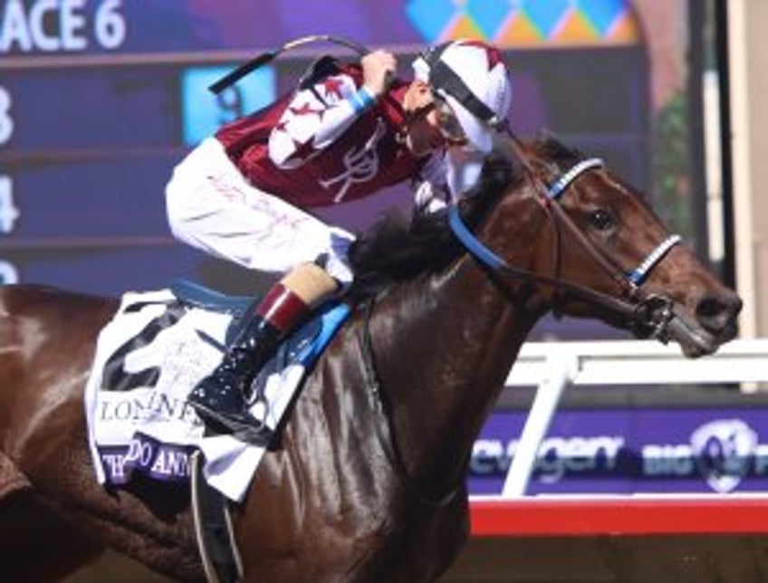 Many 3-year-old Breeders' Cup winners will continue racing