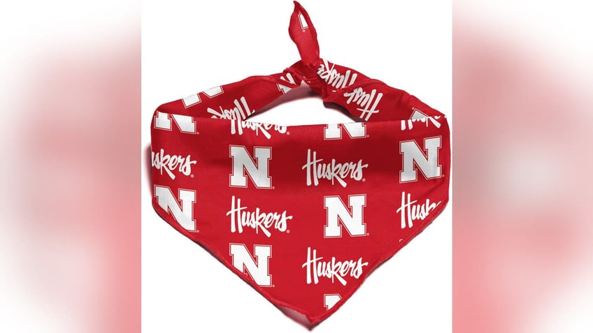A simple bandanna can show a lot of school spirit. 