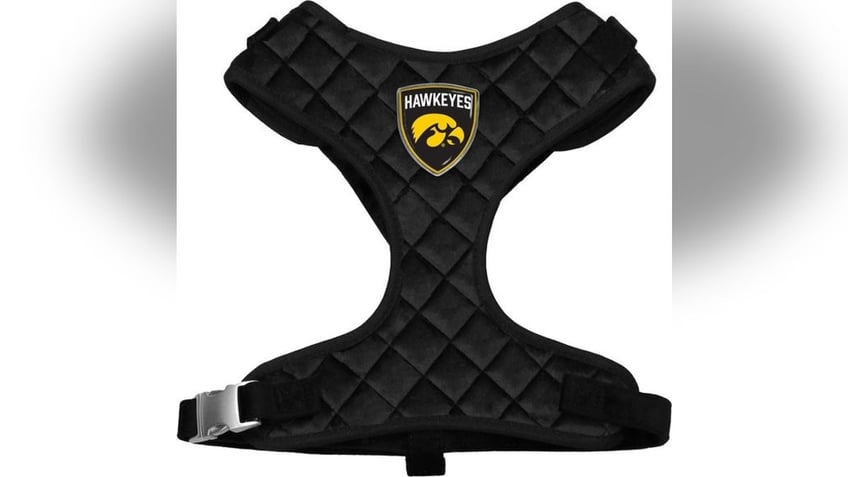 These harnesses are made from a comfortable velvet. 