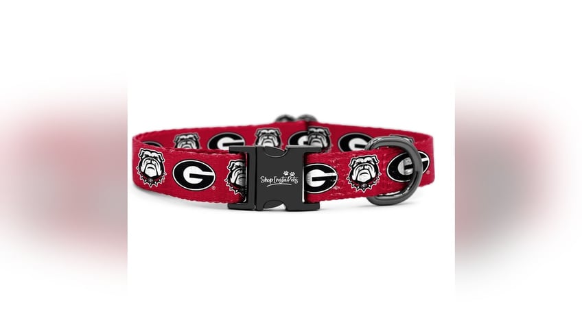Georgia fans will appreciate this heavy-duty team collar. 