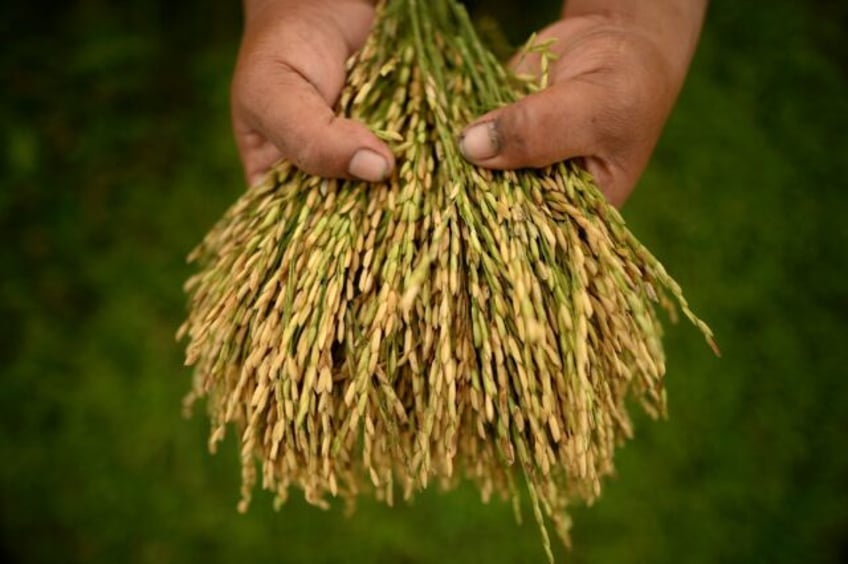 marcos lifts cap on philippines rice prices