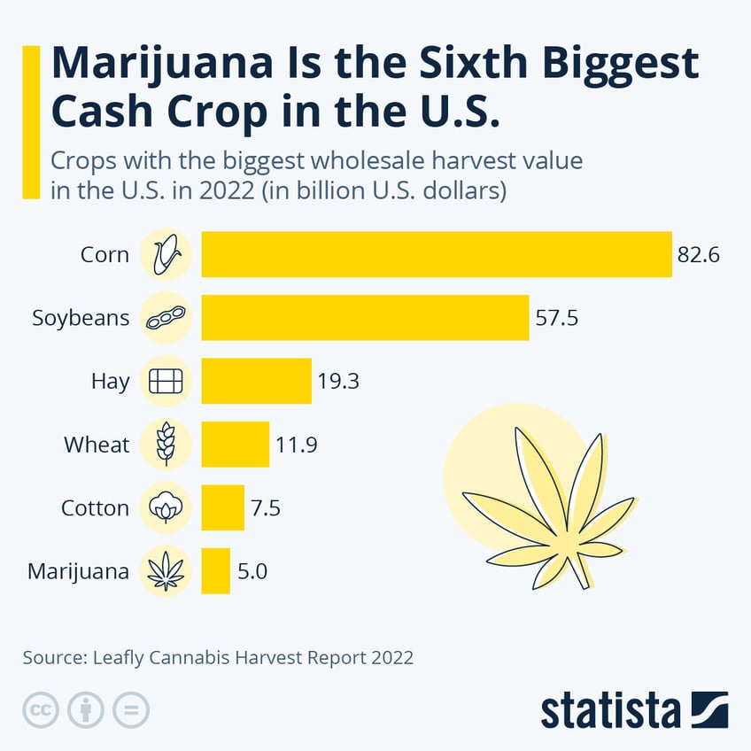 marijuana is the sixth biggest cash crop in the us