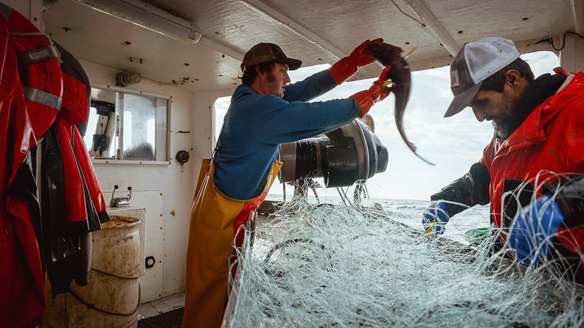 marine industry files lawsuit challenging legality of federal councils cracking down on fishermen