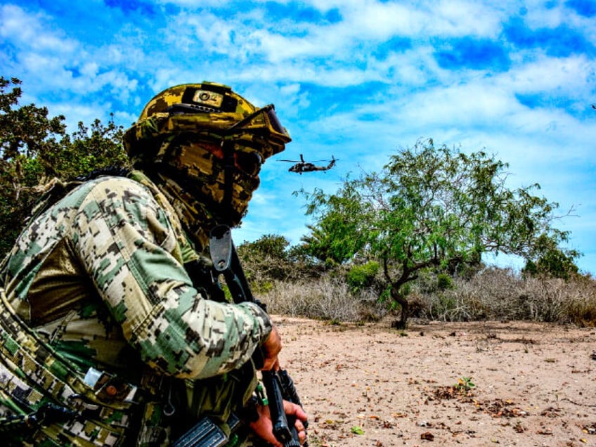 marinos mexicanos abaten a 10 sicarios durante balacera en tamaulipas