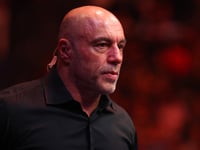 Mark Ruffalo slams Joe Rogan as 'a little late' after podcast host calls Trump ICE raids 'insane'