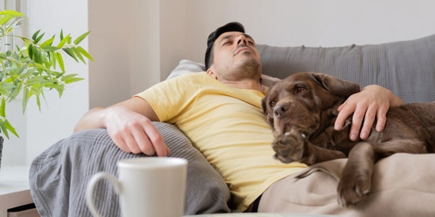 married couple fights after 75 pound dog refuses to leave the husbands side even in bed