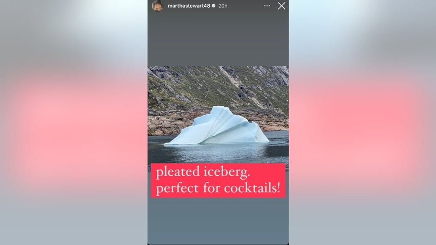 martha stewart hits back at haters after iceberg cocktail drama