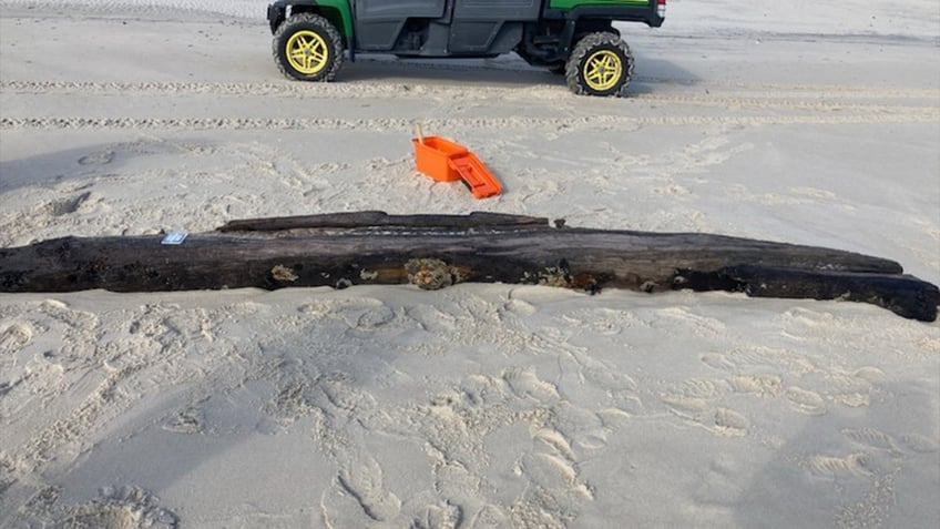 Piece of driftwood