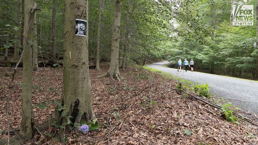 A photo of Rachel Morin is posted on a tree along a hiking route