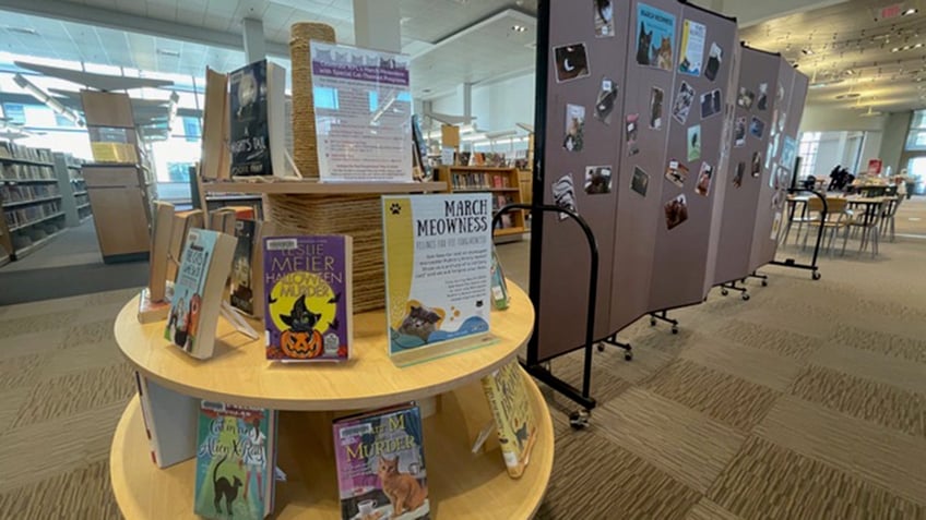 MA library display