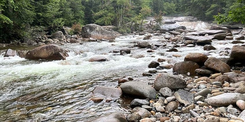 massachusetts mom dies trying to save drowning son father rescues brother at nh state park