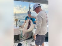 Massive bull shark weighing nearly 500 pounds caught at Alabama fishing tournament
