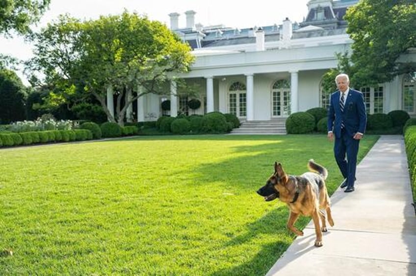 master and commander the biden dogs accused of dozens of additional attacks at white house