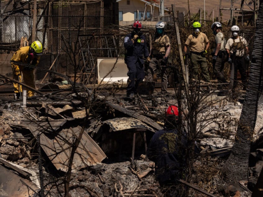 maui wildfire 385 still missing after democrat gov josh green indicated number would drop below 100