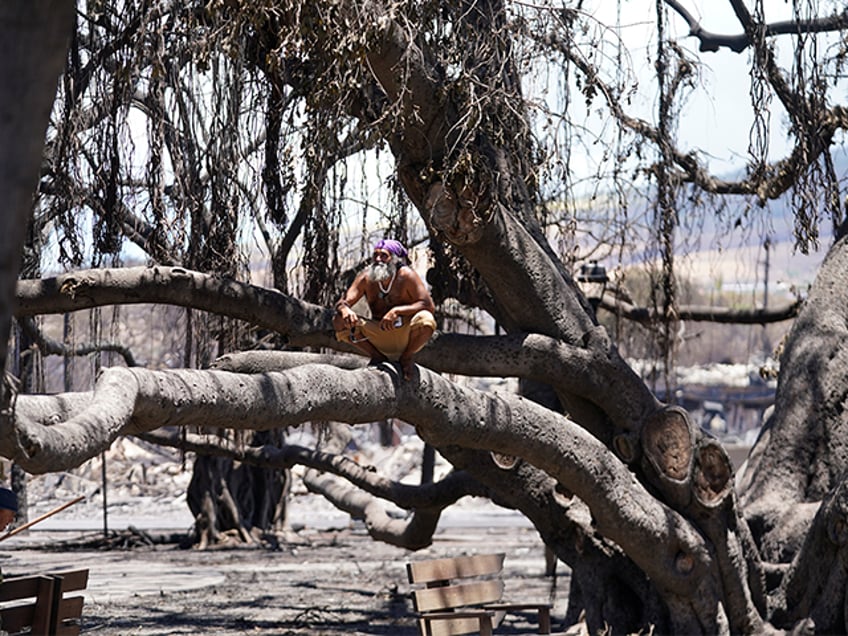 maui wildfire death toll reaches 93 authorities warn total scale of losses not yet known