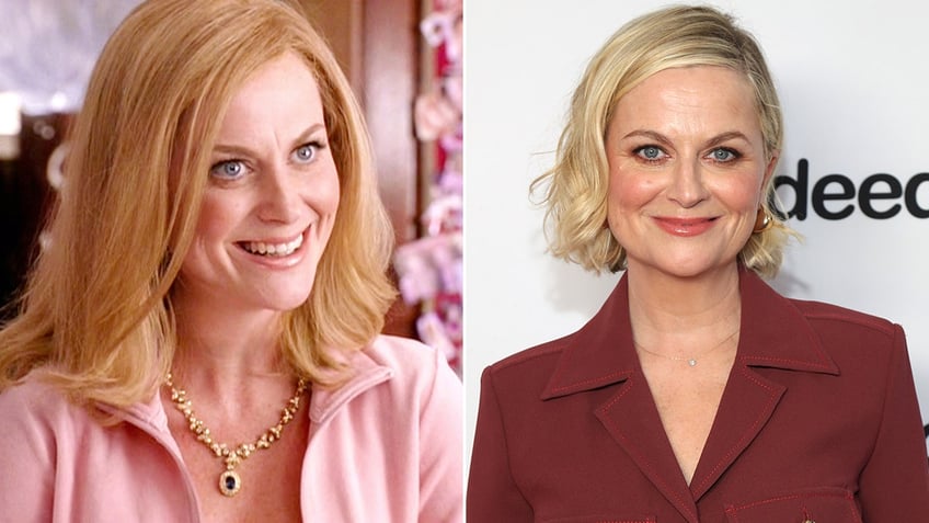 Amy Poehler then and now split
