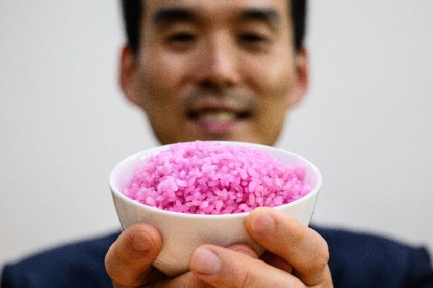 A team of South Korean scientists are injecting cultured beef cells into individual grains