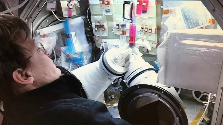A NASA astronaut experiments on protein crystals inside of an enclosed glove box amid scientific equipment.