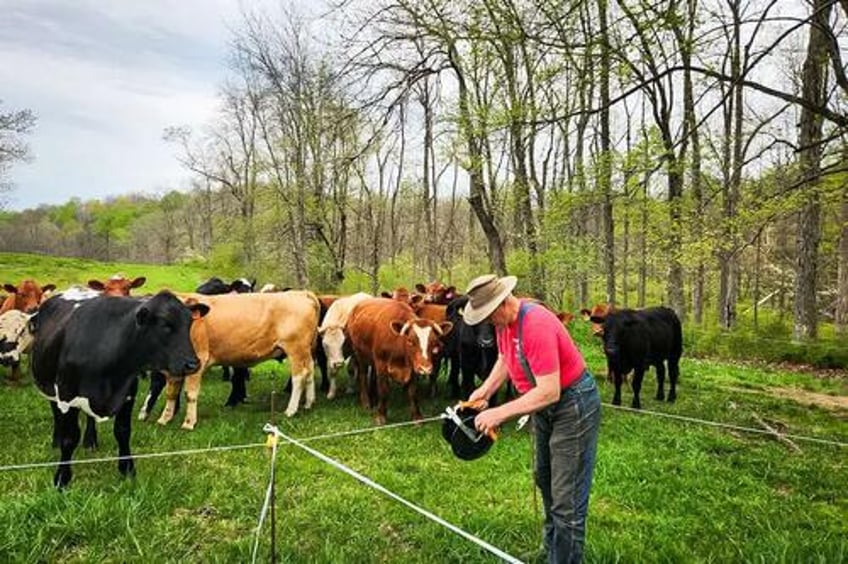 meet joel salatin a leader in regenerative agriculture and self described lunatic farmer