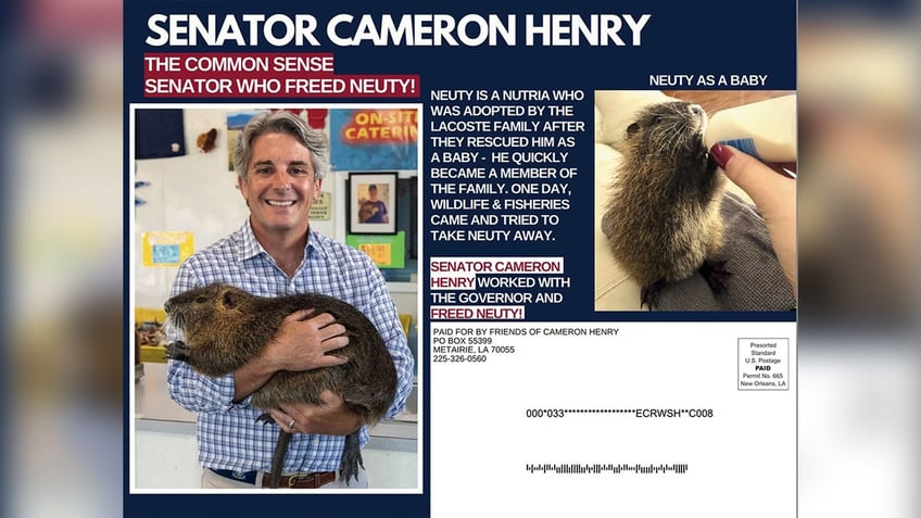 meet neuty the nutria improbable louisiana celebrity shakes up local politics