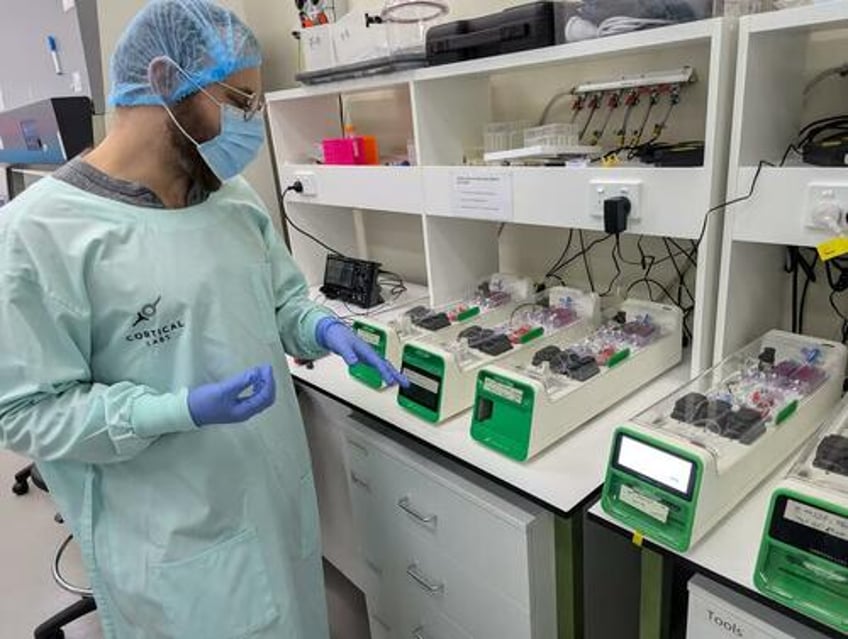 meet the dystopian startups making biological computers from human cells