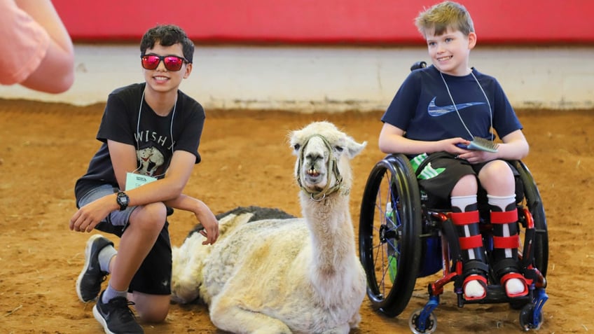 Guinness World Records, declared that Whitetop is the world’s oldest llama in captivity at over 27 years old.