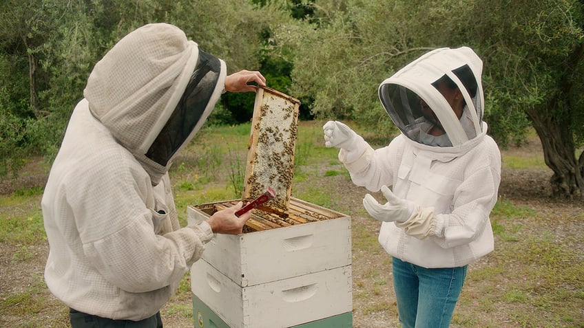 Meghan Markle with bees