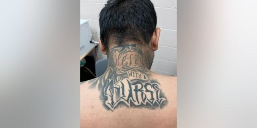 mexican gulf cartel member caught in texas with 6 illegal immigrants authorities say