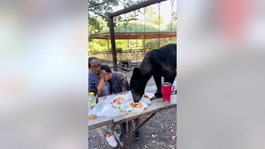 mexican mother shields son from bear crashing birthday party devouring tacos on picnic table