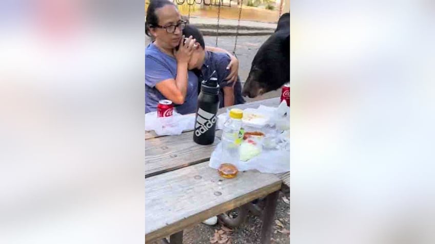 mexican mother shields son from bear crashing birthday party devouring tacos on picnic table