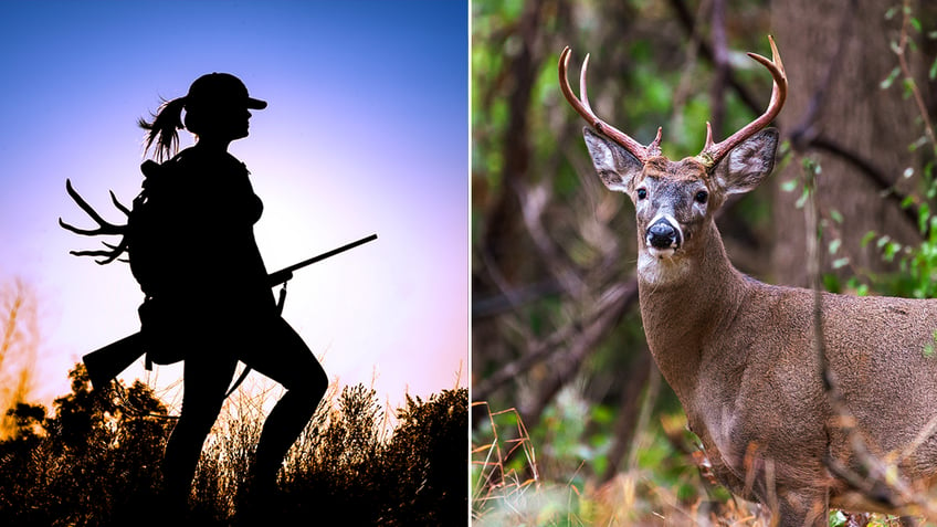 deer hunter split