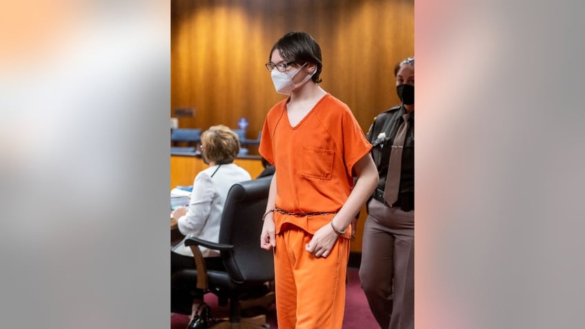 michigan school shooters mom says sons disturbing bird torture shouldnt be used against her