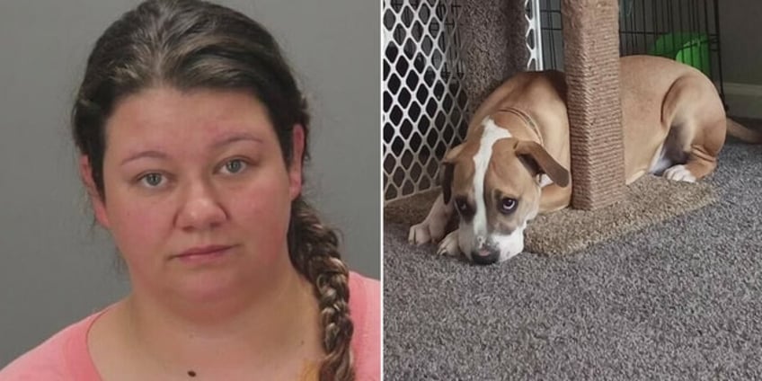 michigan woman charged with performing sex act on dog caught by ex boyfriend