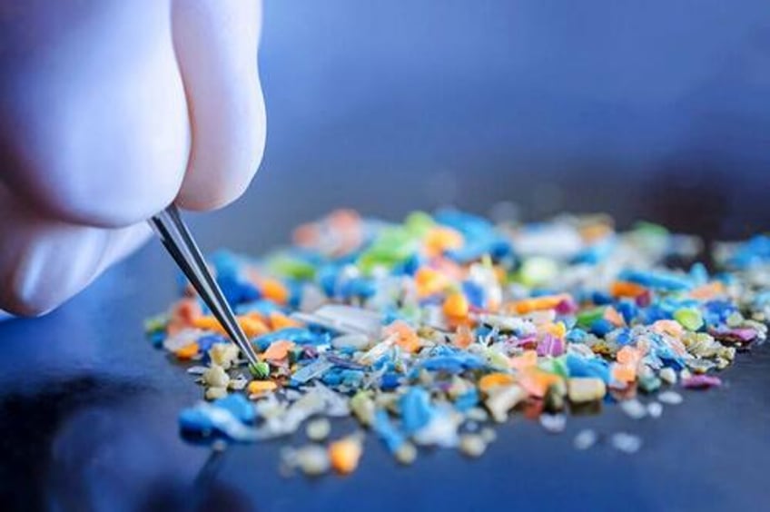 microplastics found in brain weighs as much as a plastic spoon study