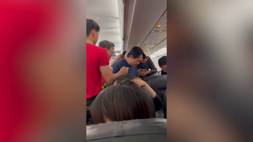 midair mayhem as rat and wild animal terrorize passengers and crew on flight