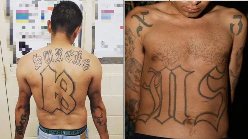 Gang members apprehended at the border