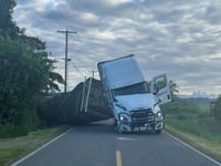 Millions of honeybees abuzz after truck overturns in Washington state