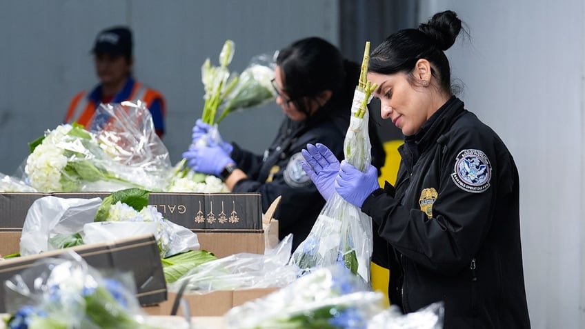 Valentines Day Flower Inspections