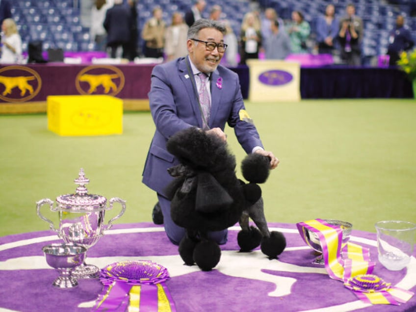 Westminster dog show