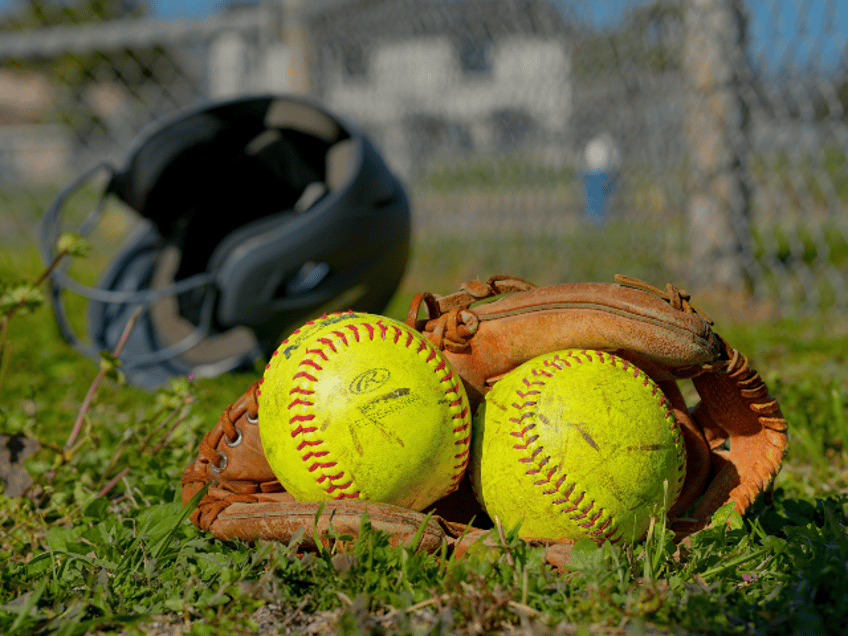 Balls on Glove on Grass