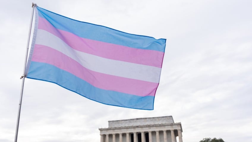 A person waves a transgender pride flag during the People's March and rally to the Lincoln Memorial in Washington, D.C., United States, on January 18, 2025.