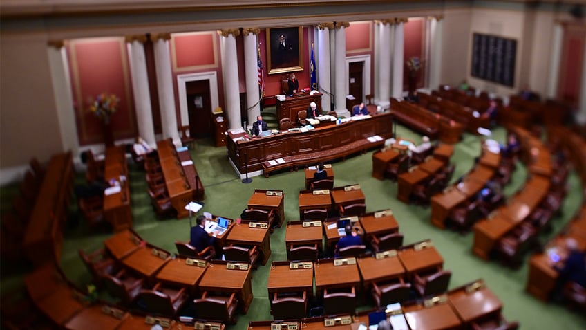 peaker of the House Melissa Hortman (Brooklyn Park-36B) leads a session of the Minnesota State Legislator at the Minnesota State Capitol in St. Paul on Tuesday, April 14, 2020.