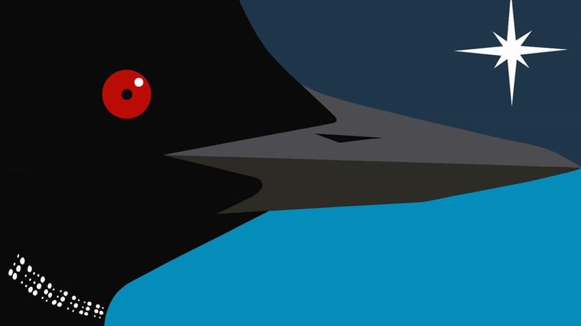 Loon flag with prominent eye